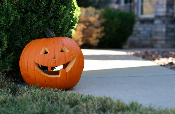 Have you put up Halloween decorations yet? · TheJournal.ie