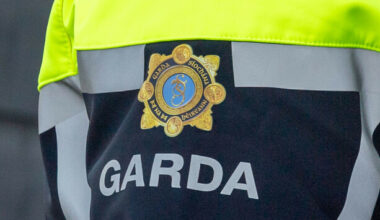 Garda investigation underway after skeletal remains discovered during works in Dublin - The Journal