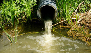 Raw sewage discharges halved from last year (but 15 towns still release it daily)