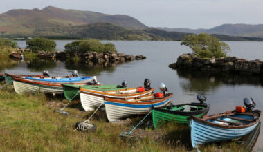 Audit finds value for money issues and excessive number of credit cards at Inland Fisheries Ireland