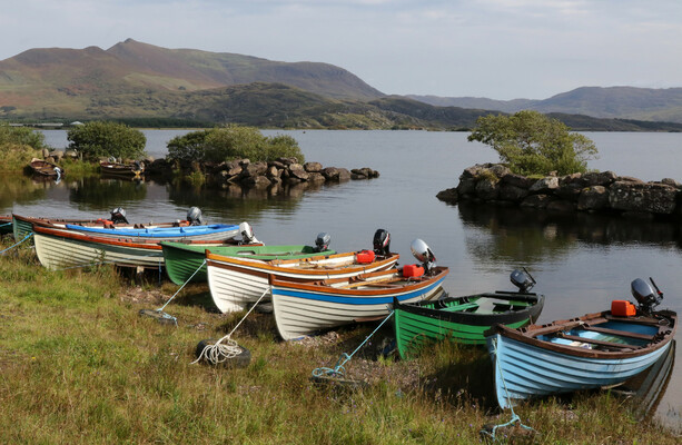 Audit finds value for money issues and excessive number of credit cards at Inland Fisheries Ireland