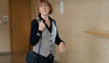French court ups jail term for man who appealed sentence for rape of Gisele Pelicot - The Journal