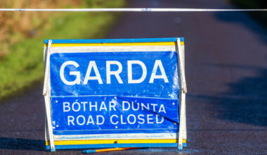Multiple horses killed in road collision in Kilkenny this morning - The Journal