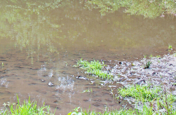 Ireland's water quality is declining, with pesticides, drainage and sewage making it worse - The Journal