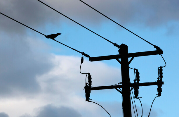Retail electricity prices in Ireland three times higher than wholesale cost, report finds - The Journal