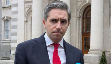 Government beats Aontú to the punch with confidence motion in Tánaiste set for this afternoon - The Journal