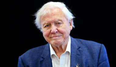 David Attenborough breaks record as oldest Daytime Emmy winner at 99 - The Journal