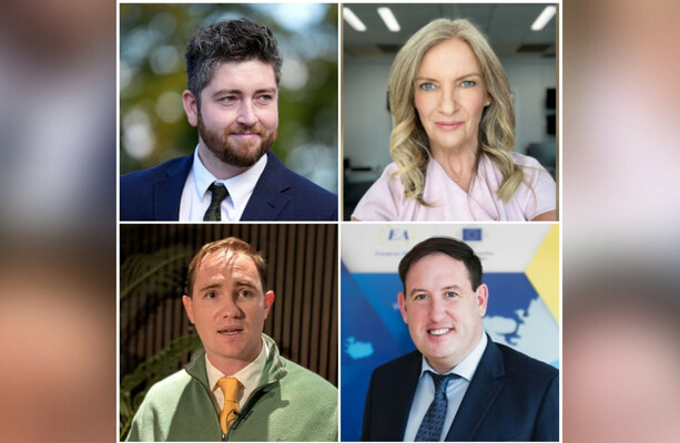 Four one-time Áras hopefuls on what they'd do differently if they could turn the clock back
