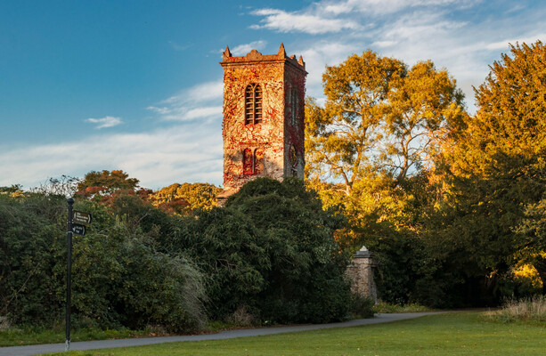 New public toilets in North Dublin park vandalised after one week - The Journal