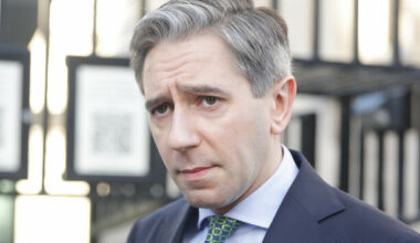 'Dangerous dog whistling': Tánaiste's comments on immigration criticised by opposition - The Journal