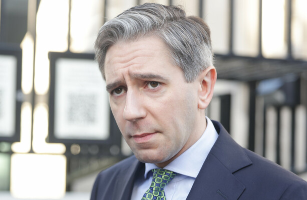 'Dangerous dog whistling': Tánaiste's comments on immigration criticised by opposition - The Journal