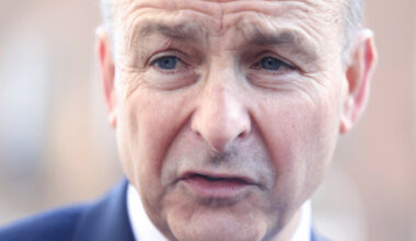 Micheál Martin says backbencher's comment comparing him to King Louis XIV was 'hurtful' - The Journal