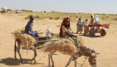 UN warns of 'large-scale atrocities' in Sudan after rebels take major city in Darfur - The Journal