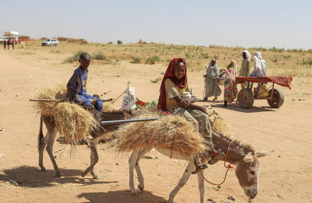 UN warns of 'large-scale atrocities' in Sudan after rebels take major city in Darfur - The Journal