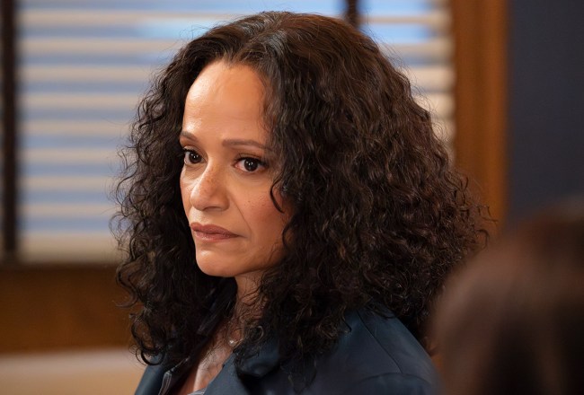 'High Potential' Season 2 Episode 4 Ending Explained, Meet New Captain