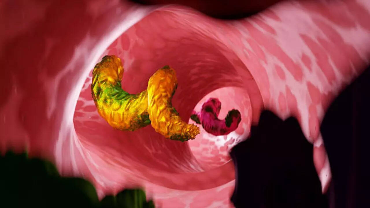 How are intestinal parasites treated?