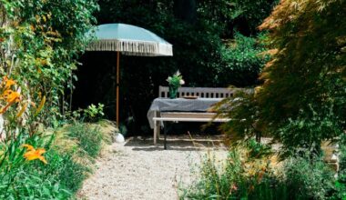 Gesa Hansen’s French cottage renovation