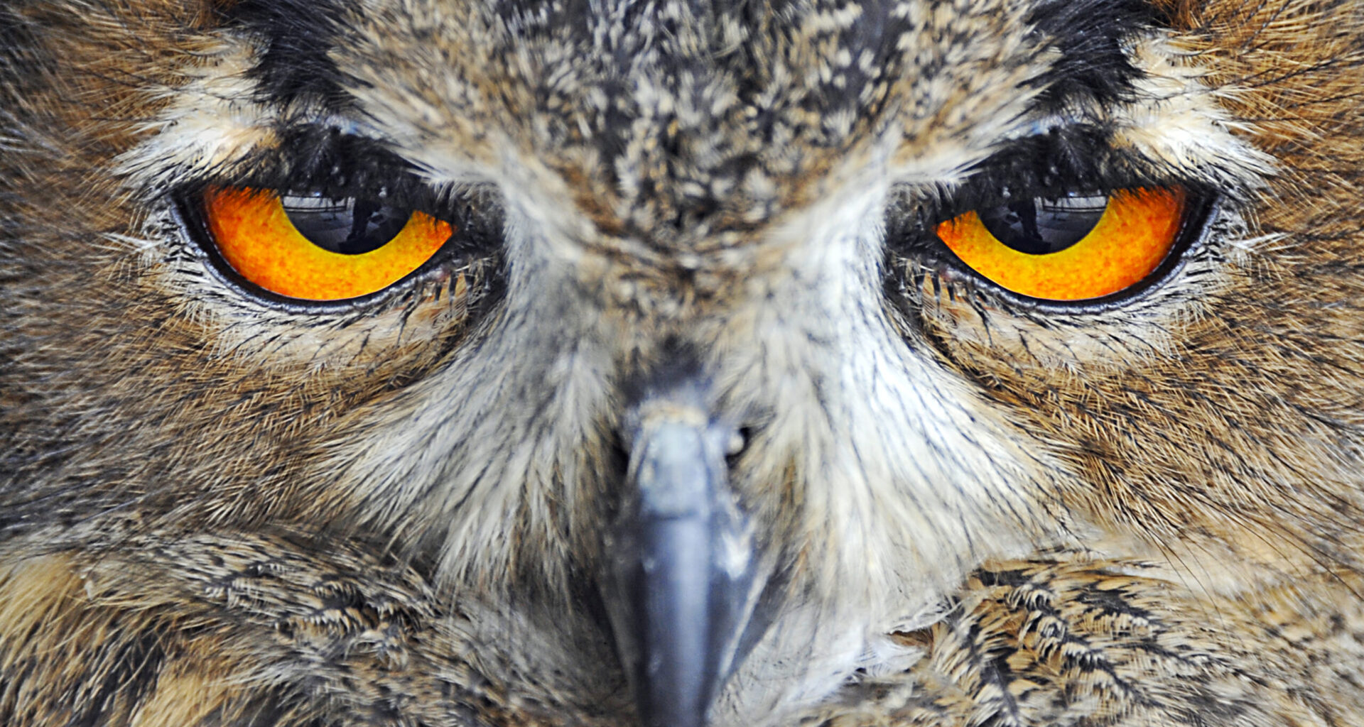 TracyTalk: Quantum eMotion and the Power of Randomness — Preparing for the Quantum Computing Threat Horizon