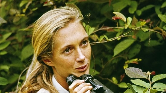 Jane Goodall, Who Studied Chimpanzee Behavior for Decades in Africa, Dies at 91