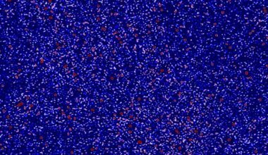 A small part of the sky seen in radio waves by the Murchison Widefield Array. Image credit: Nunhokee et al. / ICRAR / Curtin University.