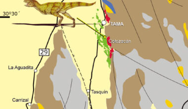 Geological map showing the location of Vitosaura colozacani in the Los Llanos Formation, La Rioja Province, Argentina. Image credit: Jiménez Velandia et al., doi: 10.5710/AMGH.24.09.2025.3653.