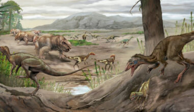 New Species of Triassic Carnivorous Dinosaur Identified in Argentina