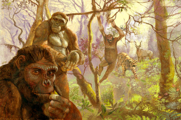 Ardipithecus ramidus, a hominid that lived in Africa more then 4 million years ago. Illustration by Arturo Asensio, via Quo.es.