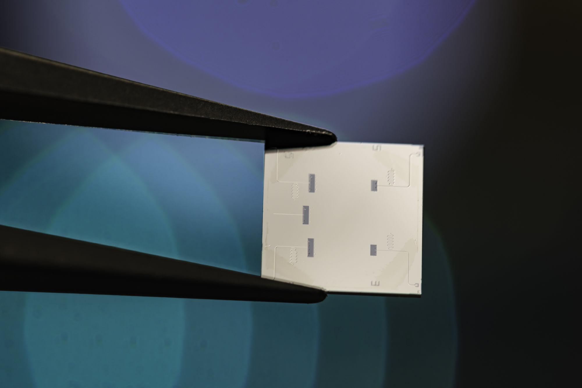 Example of superconducting circuits like this one (Niobium on Silicon substrate) fabricated at the University of Rochester cleanroom (URNano).