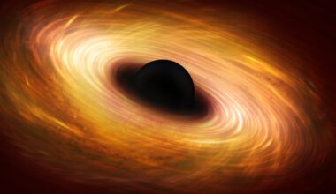 Into The Black Hole