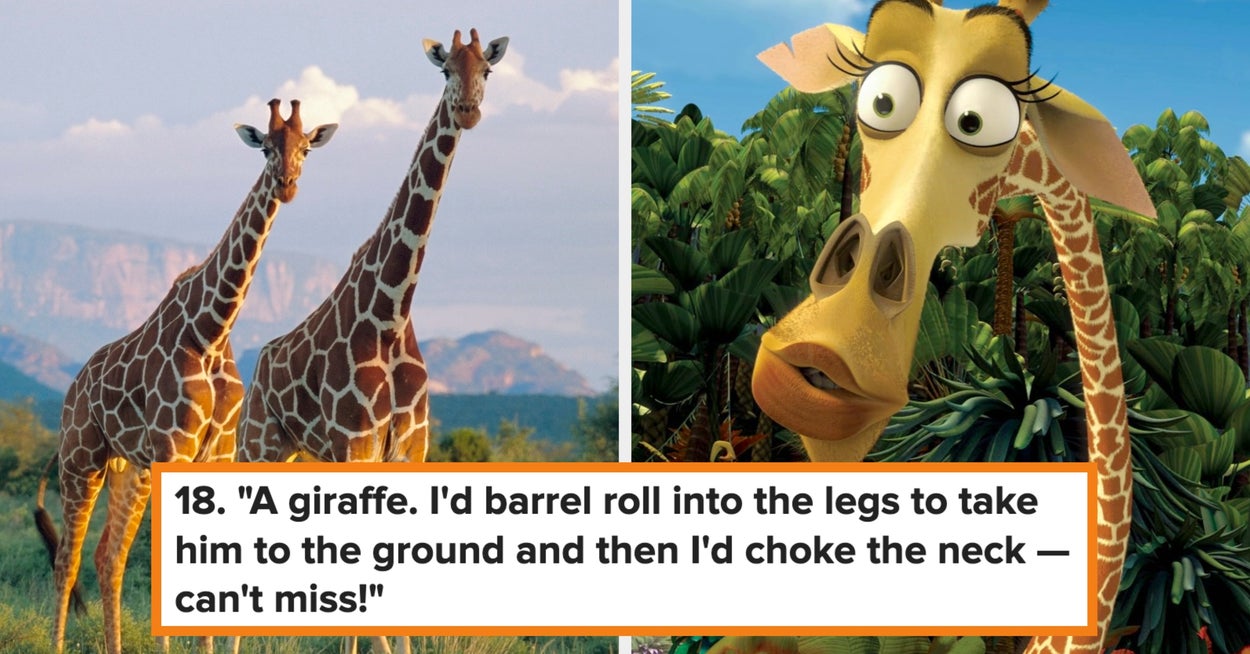 24 Animals People Think They Could Beat In A Fight