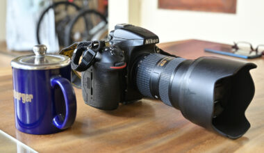 This Decade-Old DSLR Camera Captured 2025's Wildlife Photo Of The Year