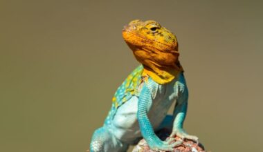 Life forms are even more threatened by global warming than previously thought, Trinity College research shows