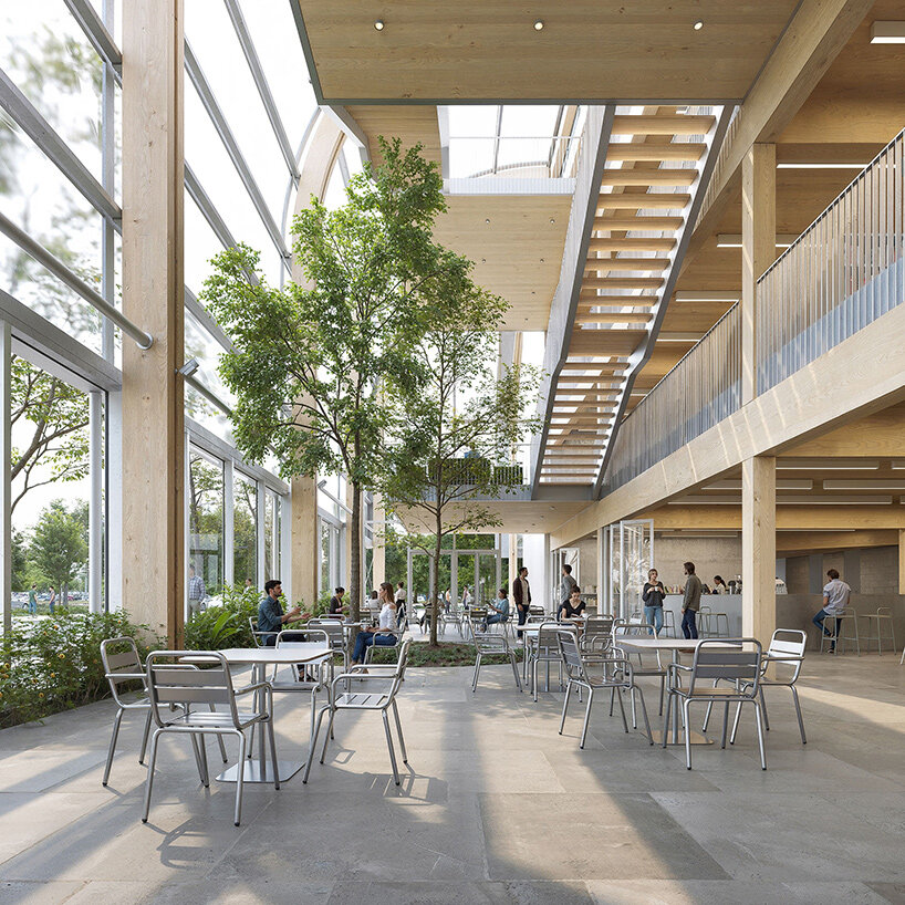 luca poian montenegro library