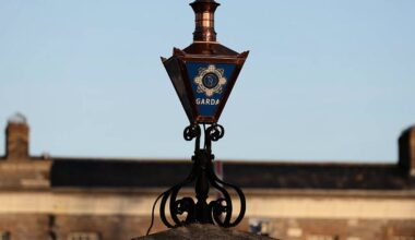 Man (30s) arrested over alleged assault on Catherine Connolly canvasser