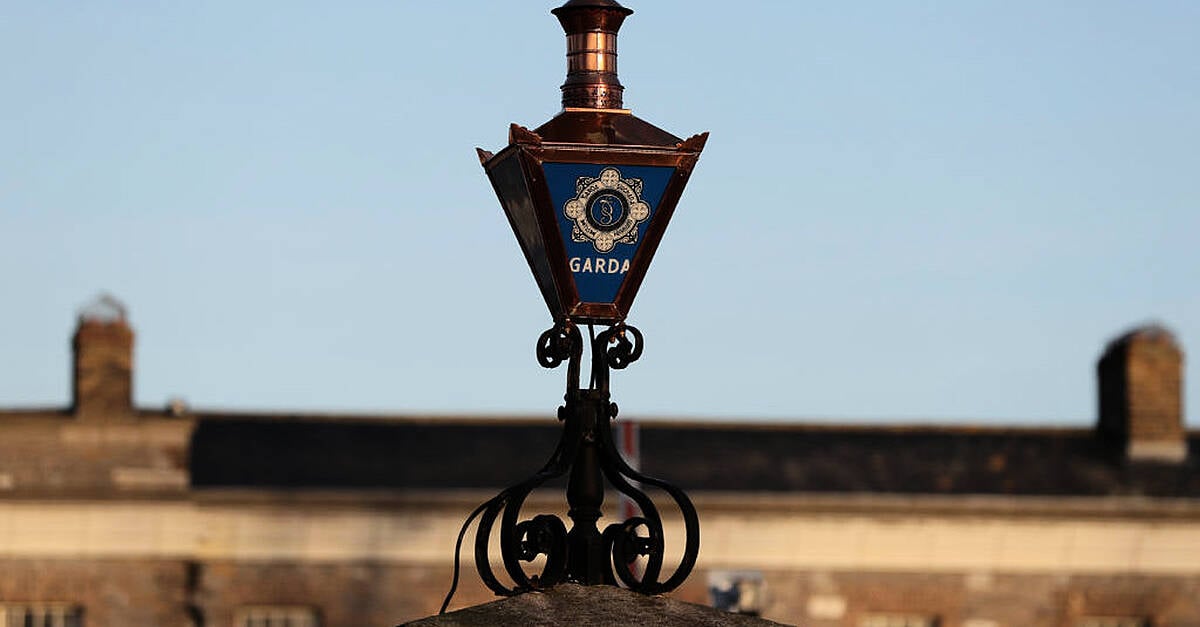 Man (30s) arrested over alleged assault on Catherine Connolly canvasser