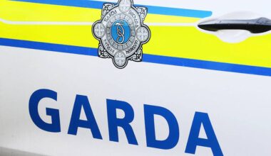 Man (50s) seriously injured in Fairview Park assault