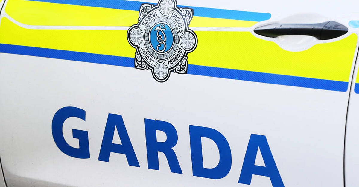 Man (50s) seriously injured in Fairview Park assault