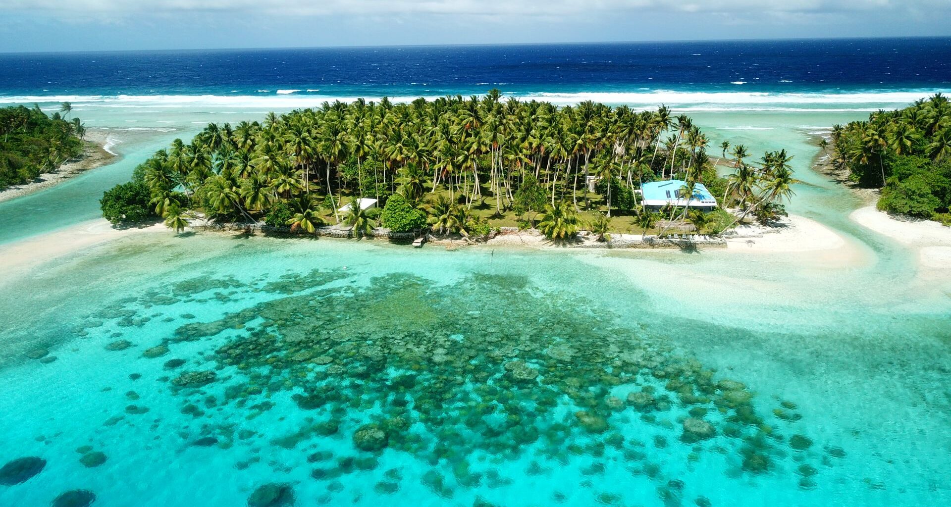 The successful removal of an invasive species of rat saw nature spring back to life on two islands in the Marshall Islands.