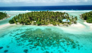 The successful removal of an invasive species of rat saw nature spring back to life on two islands in the Marshall Islands.