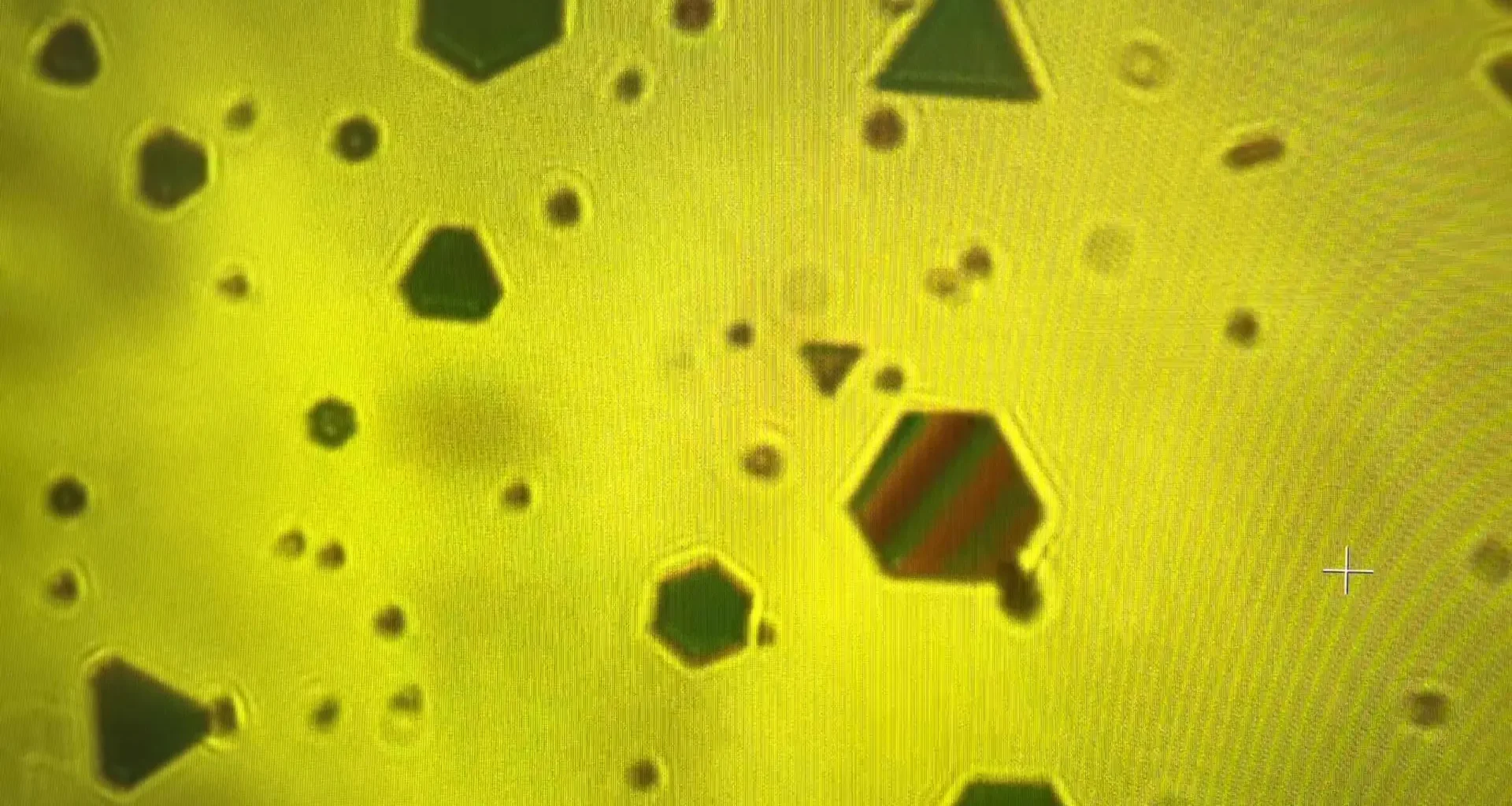 Gold flakes expose the secret forces binding our world together