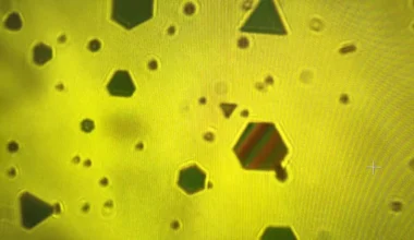 Gold flakes expose the secret forces binding our world together