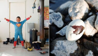 Split image: On the left, a child in a Superman costume stands indoors with arms raised, smiling. On the right, a cracked egg with a dark beak emerging lies among gray rocks.