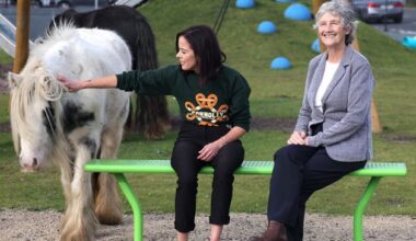 'It is well known they can't stand each other': Connolly campaign won't take down video featuring Michael D Higgins