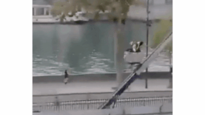 Watch: Louvre museum thieves’ slow getaway with France’s crown jewels; caught on camera