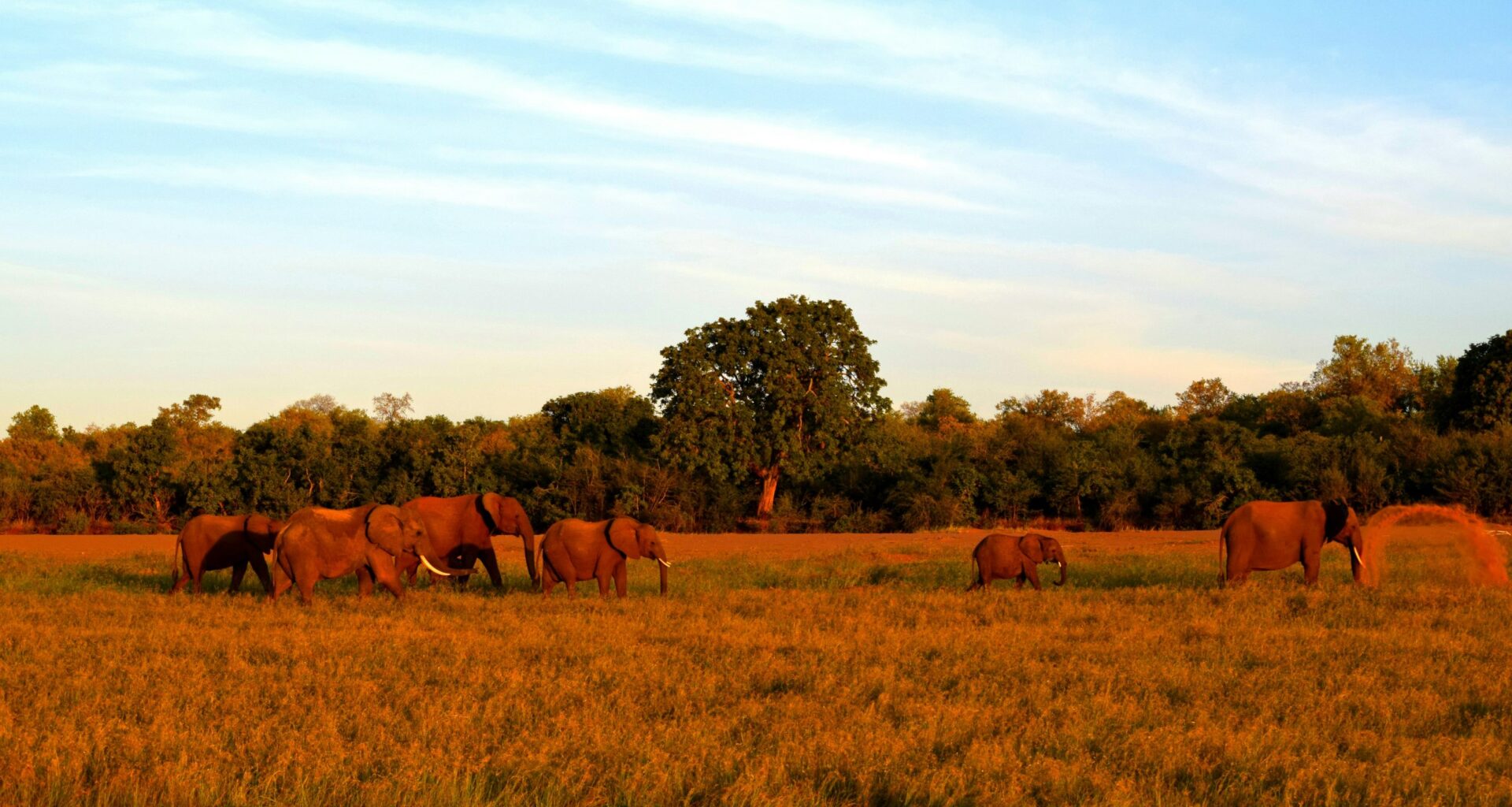 Verra Seeks Compensation For Millions Of Excess Kariba REDD+ Credits