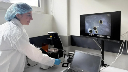 Inside the FinalSpark lab. Photo: Collected