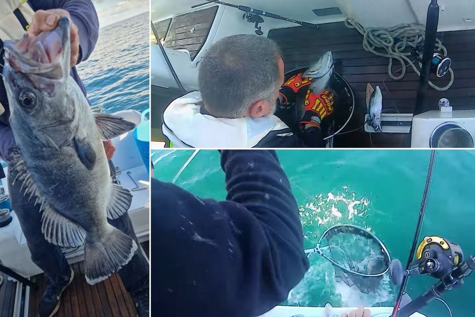 Owen Mates, who operates the Kayak Fishing Cornwall YouTube channel, hooked the remarkable specimen while targeting blue sharks approximately ten miles from shore in Falmouth Bay