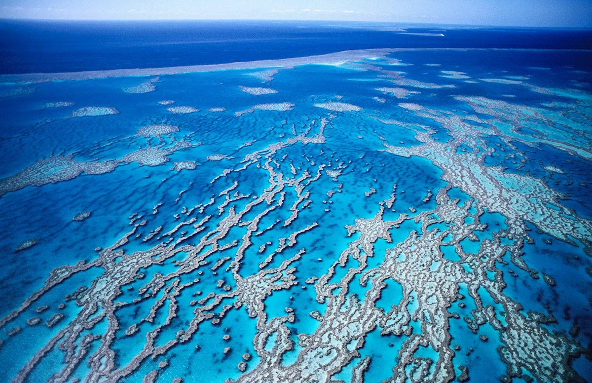 The Great Oxidation Event made Earth's atmosphere and oceans oxygen-rich about 2.5 billion years ago. Credit: Holger Leue / Getty Images