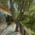 Pavilion in the Oaks / Mork-Ulnes Architects  - Exterior Photography, Wood, Deck