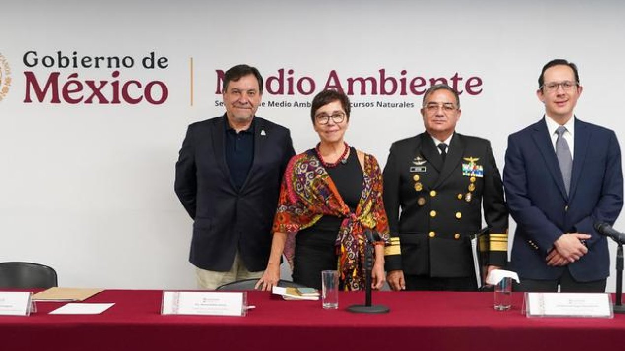 Vaquita Conservation Shows Positive Results in 2025 Survey